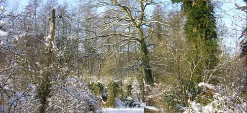 Météo : La Lorraine placée en vigilance jaune aux chutes de neige