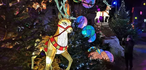 Metz :  le Sentier des Lanternes rassemble 150.000 visiteurs