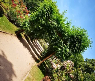 Coronavirus: Nancy ferme ses parcs