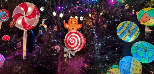 Metz : Le sentier des lanternes change d’emplacement