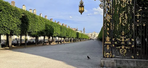 Des coups de feu tirés sur la place de la Carrière à Nancy, le ou...