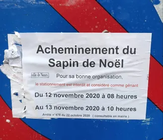 Nancy prépare l'arrivée de son sapin