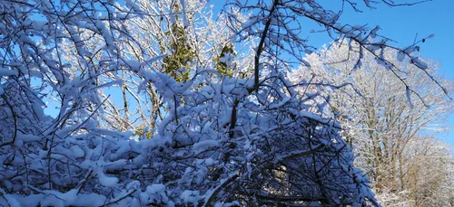 Météo: jusqu'à -6° samedi et un retour de la neige en soirée