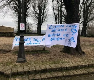 Moselle: Quel est le projet pour la Place des Marronniers à...