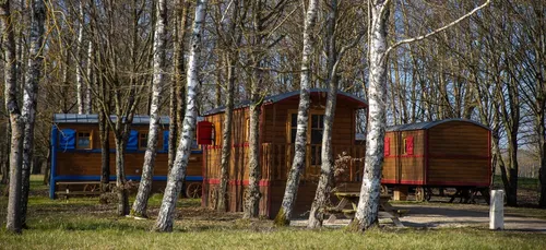 Des logements rénovés au lac de Madine