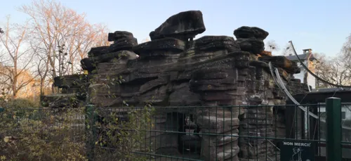 Nancy: les daims ne sont plus dans le parc de la Pépinière