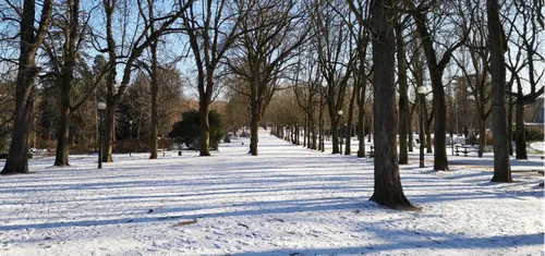 Lorraine : risque de neige la semaine prochaine