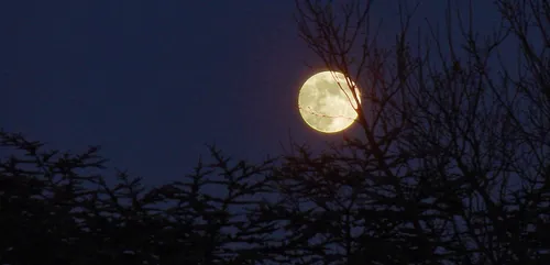 Rendez-vous Lunaire la nuit prochaine