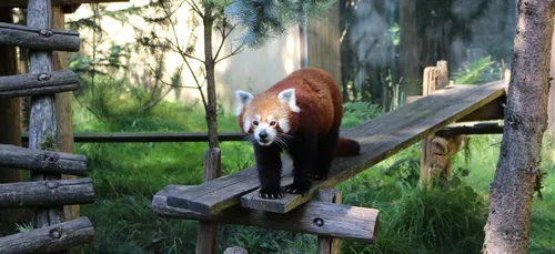 Le zoo d’Amnéville vous attend avec impatience !