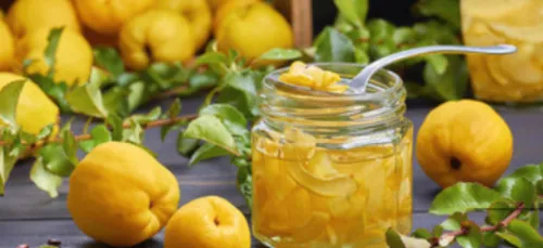 REPORTAGE | On manque de coings en Alsace !