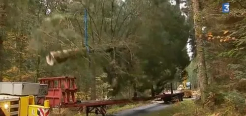 INSOLITE | Le futur-ex grand sapin de la place Kléber se brise en...