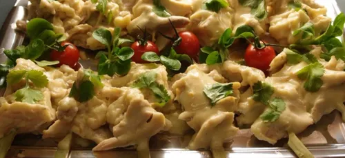 CHAUD – FROID DE POULET