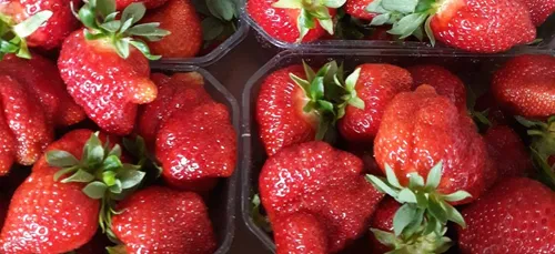 LES FRAISES, C'EST MAINTENANT !