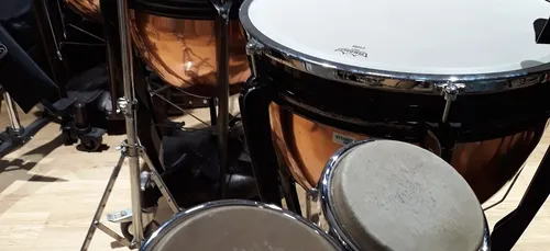 LES MULHOUSIENS VIBRENT POUR LEUR CONSERVATOIRE