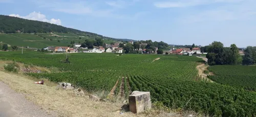 SÉRIE D’ÉTÉ | La "happy" Bourgogne à découvrir à 3h de l'Alsace
