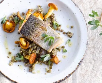 Pavé de saumon, quinoa, lentilles et girolles