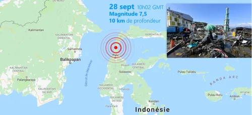 SOLIDARITÉ | L'appel à l'aide des ONG après le séisme et le tsunami...