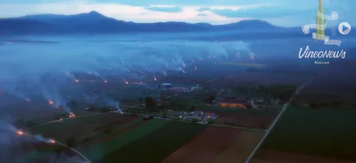 RETOUR SUR… | Des feux de paille pour préserver le vignoble alsacien