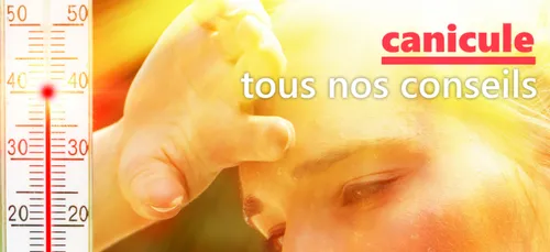 CANICULE | Tout ce que vous devez savoir pour aborder au mieux le...