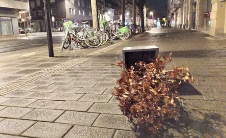 TEMPÊTE CIARA | Cols fermés, foyers sans électricité, TER à quai......