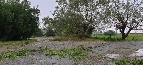 BAS-RHIN | Les pompiers intervenus à une cinquantaine de reprises...