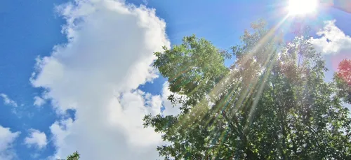 CANICULE | Le nouvel épisode qui débute ce jeudi pourrait durer...