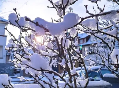 METEO | L'ampleur de l'offensive neigeuse en Alsace est remarquable