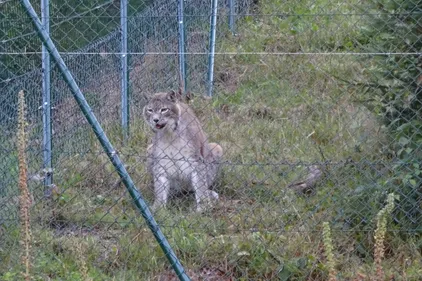 Vendredi 29 septembre 2017   Les faits du soir 