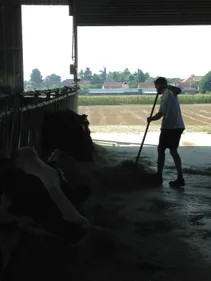 Mardi 29 août 2017   Les faits du soir