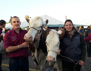Lundi  31 octobre 2016   Les faits du soir 