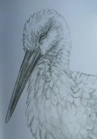 Mercredi 29 juin 2016   Les faits du soir