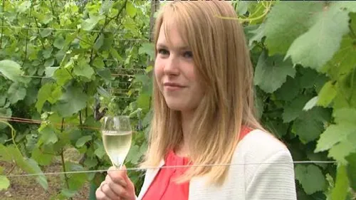 Mardi 28 juin 2016    Les faits du soir 