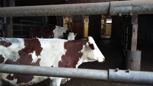 Mercredi 17 février 2016   Les faits du soir