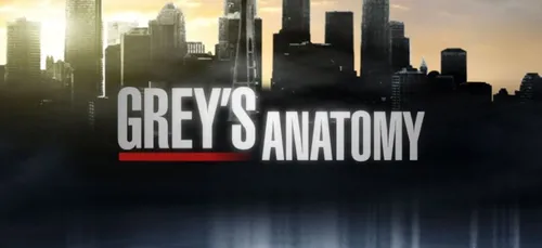 « Grey’s Anatomy » : un épisode rendra hommage aux personnages décédés