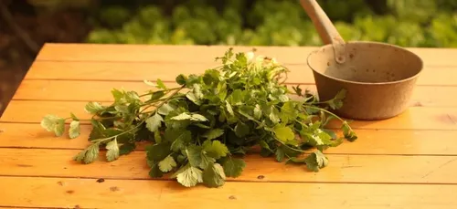 Cuisine : la raison pour laquelle certains détestent autant la...