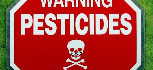 Les pesticides au métam sodium interdits jusqu’à fin 2018