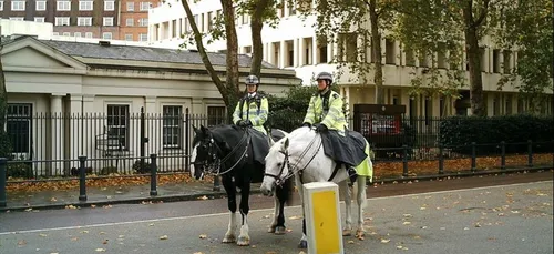 Saumur : bientôt une brigade verte dans la ville ?