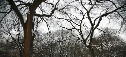 Loiret : l’hébergement d’urgence en hiver change !