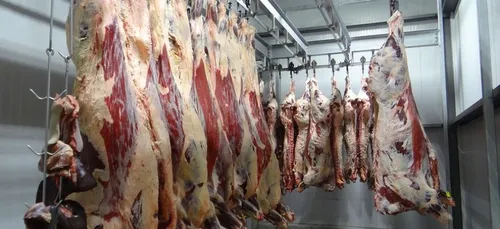 Indre : l’association L214 provoque la fermeture d’un abattoir