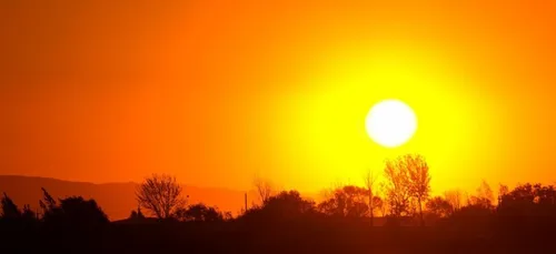 Maine-et-Loire : si rien ne change, 4°C en plus en 2100 !