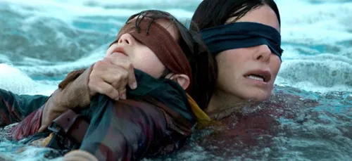 Bird Box Challenge : le nouveau défi inspiré par un film (Vidéos)