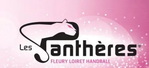 Loiret : une handballeuse suédoise stoppe sa carrière pour une...