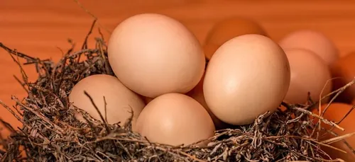 Instagram : un œuf bat le record de Likes de Kylie Jenner ! (Photo)