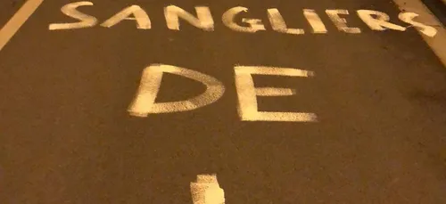 Loir-et-Cher : les agriculteurs poussent un coup de gueule contre...