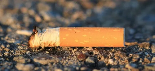 Opération « Zéro mégot » ce samedi à Angers