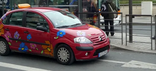 Grève des auto-écoles qui craignent l’arrivée de la concurrence
