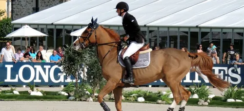 Poitiers : un champion olympique dépouillé par une Berrichonne