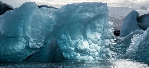 Réchauffement climatique : quatre ONG attaquent l’Etat en justice