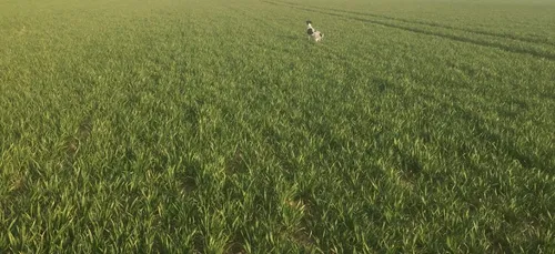 Portrait : Patrick Durand, un agriculteur qui fait découvrir sa...