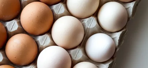 Santé : on connaît la liste des aliments à ne pas faire réchauffer...